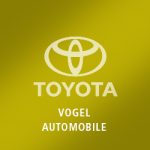 Vogel Automobile